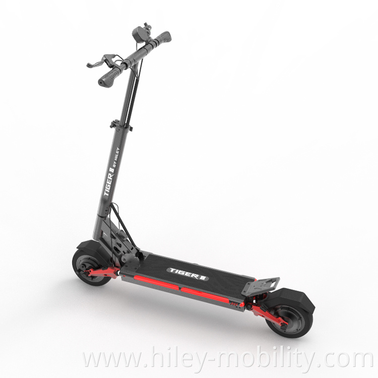 Electric Scooters